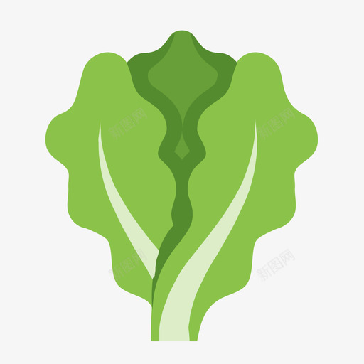 Lettucesvg_新图网 https://ixintu.com Lettuce 填充 多色
