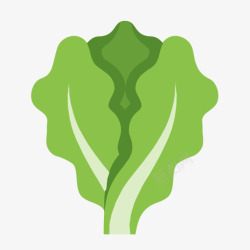 lettuceLettuce高清图片