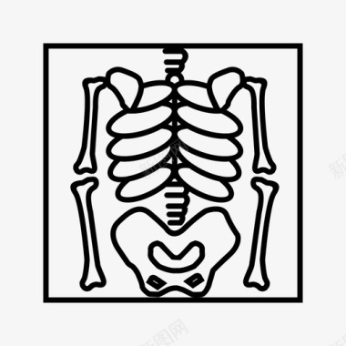 X光骨头死亡图标图标
