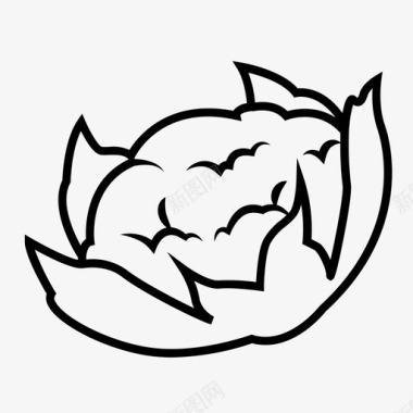 花椰菜芸苔属卷心菜图标图标