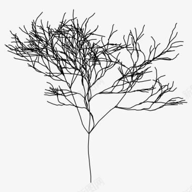 树裸树植物学图标图标