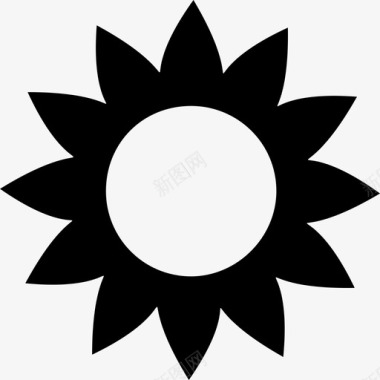花太阳花图标图标