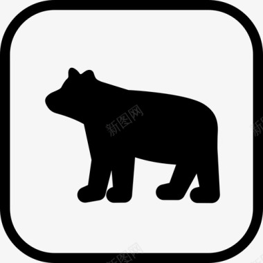 熊的标志动物迹象图标图标