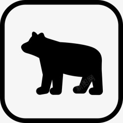 动物的迹象熊的标志动物迹象图标高清图片