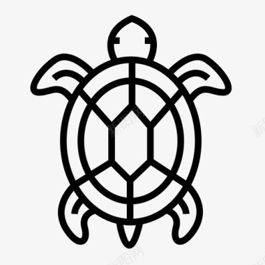 海龟动物乌龟图标图标