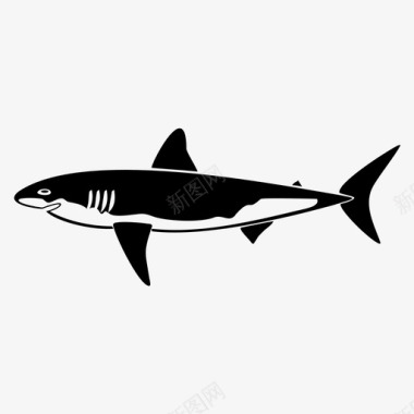 鲨鱼鱼海洋图标图标