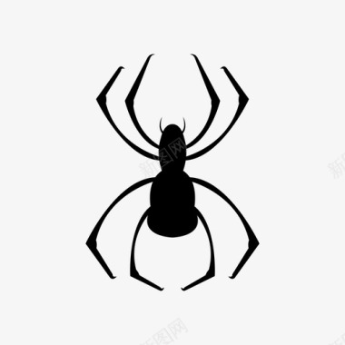 蜘蛛动物昆虫图标图标