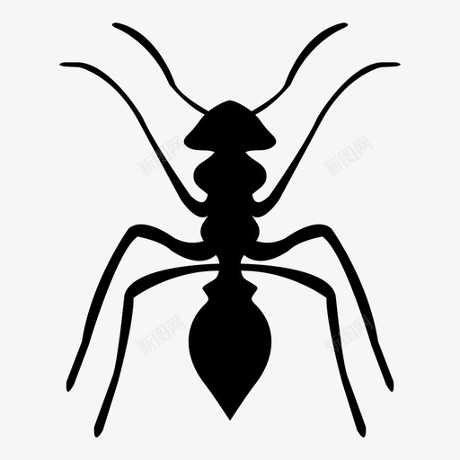 蚂蚁动物昆虫图标svg_新图网 https://ixintu.com 动物 大自然 小 昆虫 蚂蚁