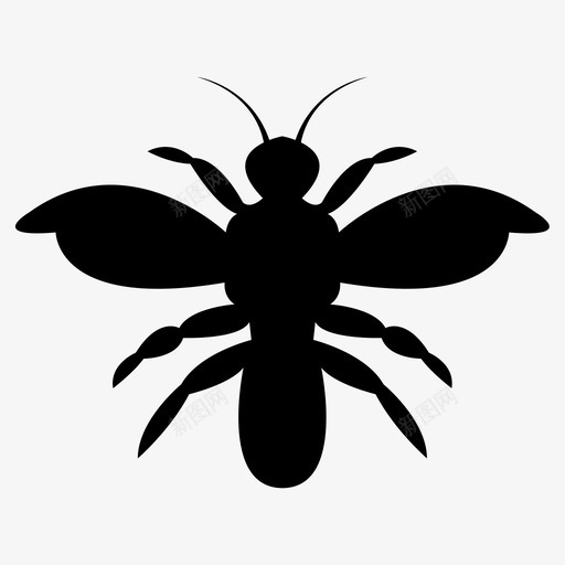 蜜蜂动物蜂蜜图标svg_新图网 https://ixintu.com 动物 夏天 昆虫 蜂蜜 蜜蜂