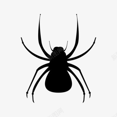 蜘蛛动物昆虫图标图标