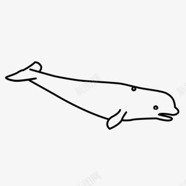虎鲸白鲸独角鲸图标图标