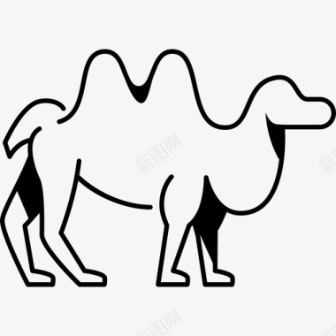 骆驼动物驼峰日图标图标