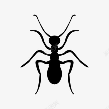 蚂蚁动物昆虫图标图标
