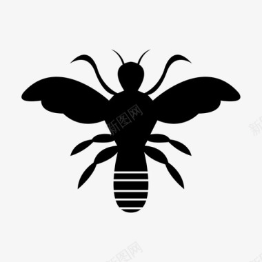 蜜蜂动物蜂蜜图标图标