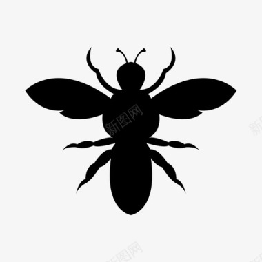 蜜蜂动物蜂蜜图标图标