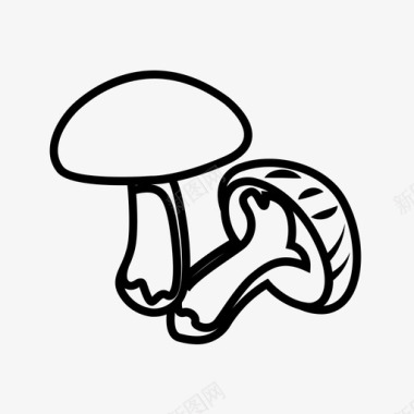 栽培蘑菇真菌图标图标