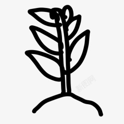 手绘植物生长植物生长花园手绘图标高清图片