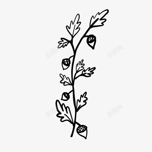 橡子树枝装饰图标svg_新图网 https://ixintu.com 叶子 树枝 框架 植物 橡子 花环 装饰