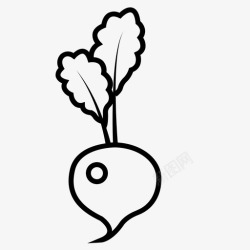 芸苔萝卜芸苔科食用根图标高清图片