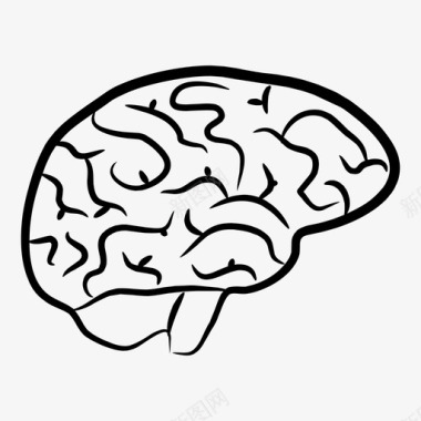 大脑人体器官图标图标