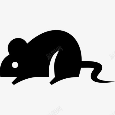 实验鼠家鼠生物学图标图标