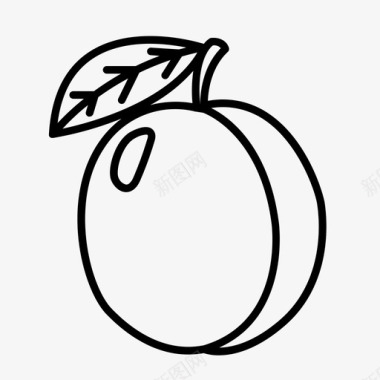 李子核果水果图标图标