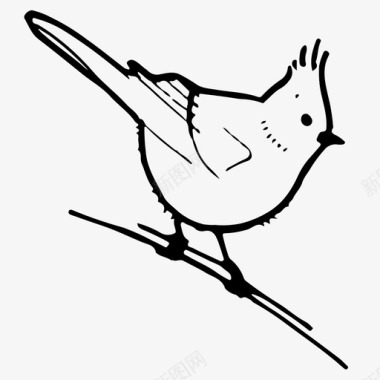 杜松山雀鸟吱吱图标图标