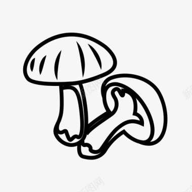 栽培蘑菇真菌栽培菌图标图标