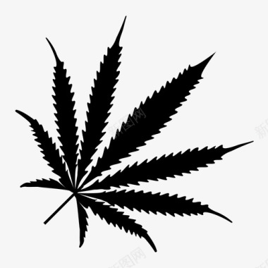 紫菜叶大麻药物图标图标