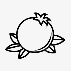 苹果籽石榴格林纳达苹果水果图标高清图片
