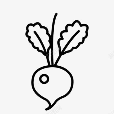 萝卜芸苔科食用根图标图标