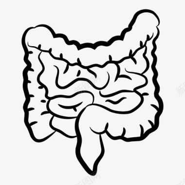 大肠人体器官图标图标