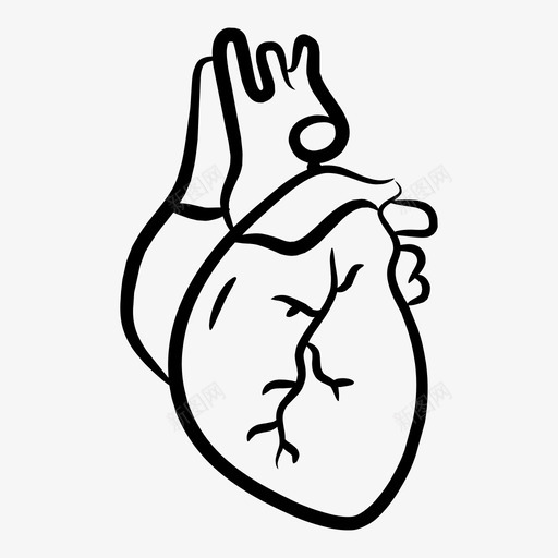 心脏人体器官图标svg_新图网 https://ixintu.com 人体器官 心脏