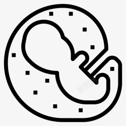 胎儿教育胚胎学婴儿胎儿图标高清图片