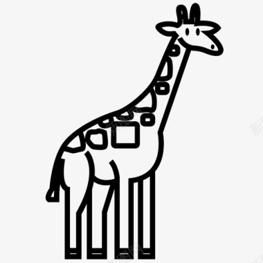 长颈鹿体长颈鹿反刍动物图标图标