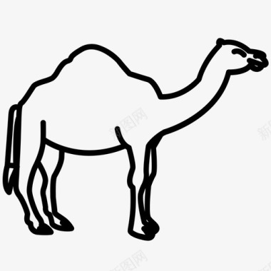 骆驼体骆驼类沙漠动物图标图标