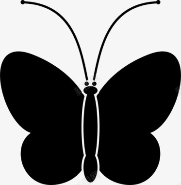 蝴蝶动物昆虫学图标图标