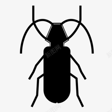 甲虫小虫蟑螂图标图标