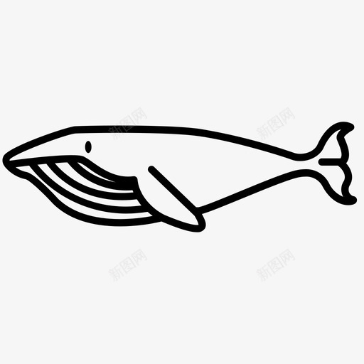 鲸体鲸目动物海洋哺乳动物图标svg_新图网 https://ixintu.com 抹香鲸 海洋哺乳动物 鲸体 鲸目动物