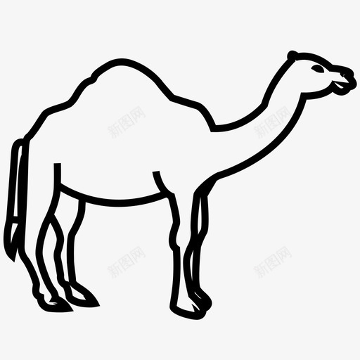 骆驼体骆驼类沙漠动物图标svg_新图网 https://ixintu.com 单峰骆驼 沙漠动物 骆驼体 骆驼类