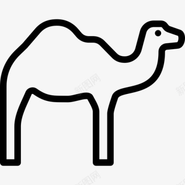 单峰骆驼动物阿拉伯图标图标