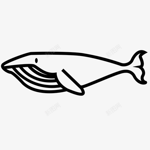 鲸体须鲸鲸目动物图标svg_新图网 https://ixintu.com 抹香鲸 海洋哺乳动物 须鲸 鲸体 鲸目动物