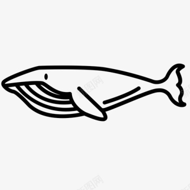 鲸体须鲸鲸目动物图标图标
