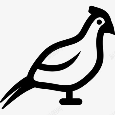 雉鸡鸟金图标图标