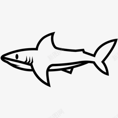 鲨鱼体锤头鲨虎鲨图标图标