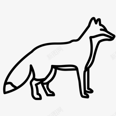 狐狸的身体幼兽红狐图标图标