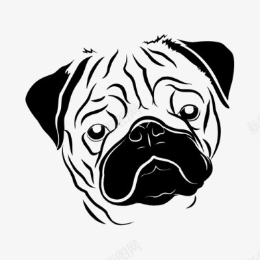 悲伤皱纹哈巴狗可爱的动物狗图标图标