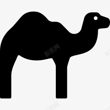 阿拉伯沙漠动物图标图标