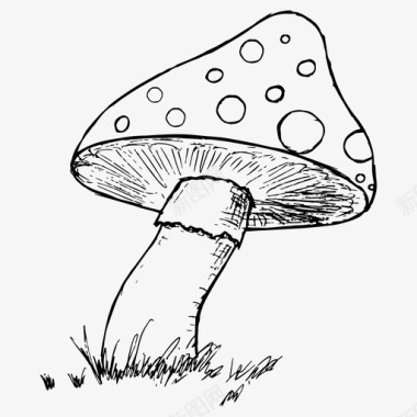 鹅膏森林蘑菇图标图标