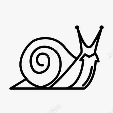 蜗牛体腹足类软体动物图标图标